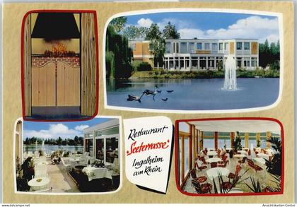 50603743 - Ingelheim am Rhein