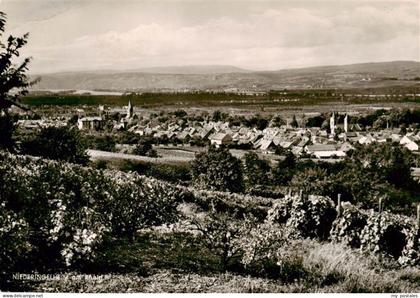 Ingelheim Rhein Panorama
