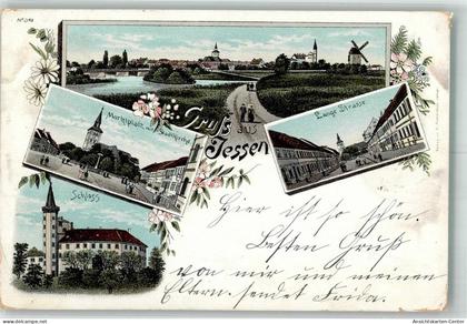 13569569 - Jessen Elster