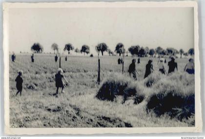 51596326 - Jessen (Elster)