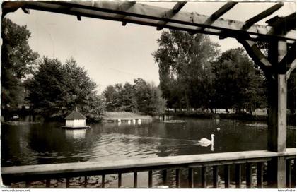 Kandel/Pfalz, Schwanenweiher