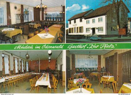 Mudau - Gasthof "Zur Pfalz" Besitzer Helmut Link