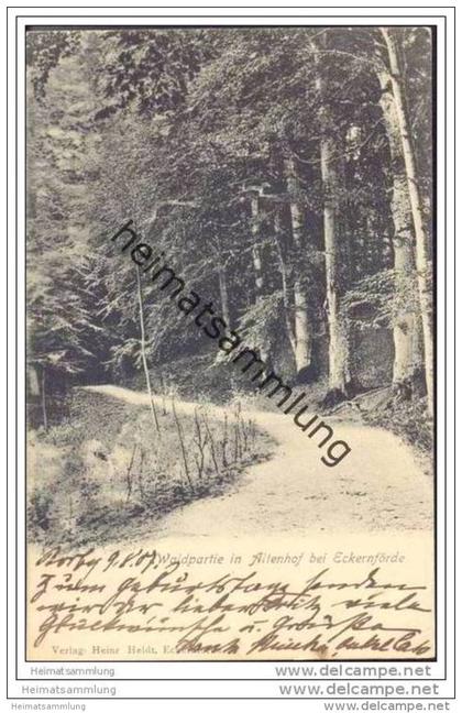 Waldpartie in Altenhof bei Eckernförde