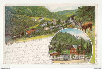 Kipsdorf old postcard posted 1898 b250520