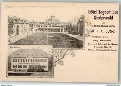 10724889 - Niederwald , Jagdschloss