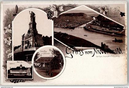 52181619 - Niederwald , Jagdschloss