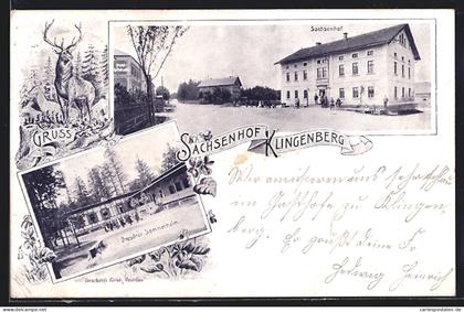 AK Klingenberg / Sachsen, Gasthaus Sachsenhof, Dresdner Sommerheim