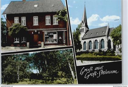 50501989 - Gross Steinum