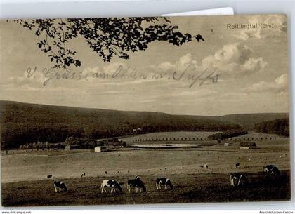 50826957 - Koenigslutter am Elm