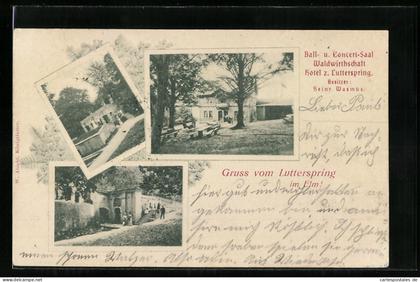 AK Königslutter, Gasthaus Lutterspring im Elm von Heinr. Wasmus