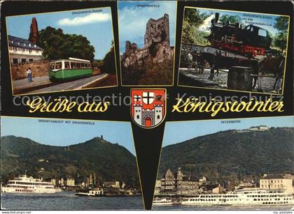 Koenigswinter Drachenfels Esel Drachenfelsbahn Gesamtansicht mit Drachenfels