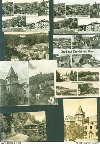 13821302 - Kranichfeld