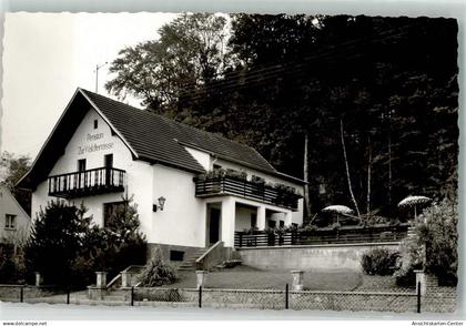 10707545 - Waldhoelzbach
