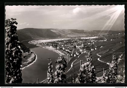AK Kröv, Blick auf die Stadt im Tal