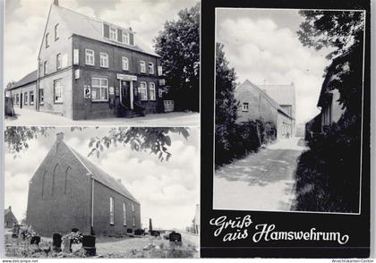 50669729 - Hamswehrum