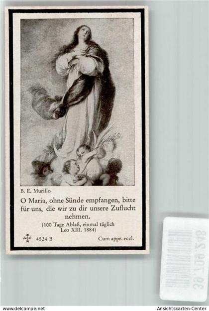 39709248 - Lauingen Donau