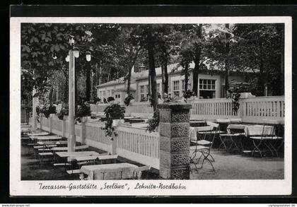 AK Lehnitz-Nordbahn, Terrassen-Restaurant Seelöwe