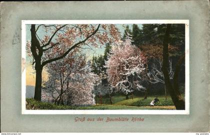 Roetha LEIPZIG Sachsen Baumbluete
