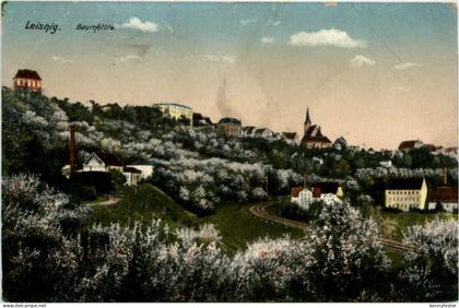 Leisnig, Baumblüte