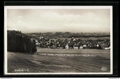AK Leutkirch i. A., Ortsansicht mit Bergpanorama