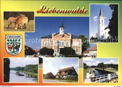 Liebenwalde Wildpferde Rathaus Bischofswerder Schleuse