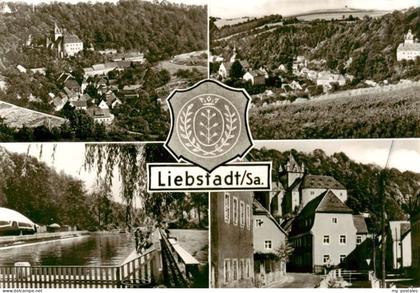 Liebstadt Panorama Schwimmbad Ortspartie