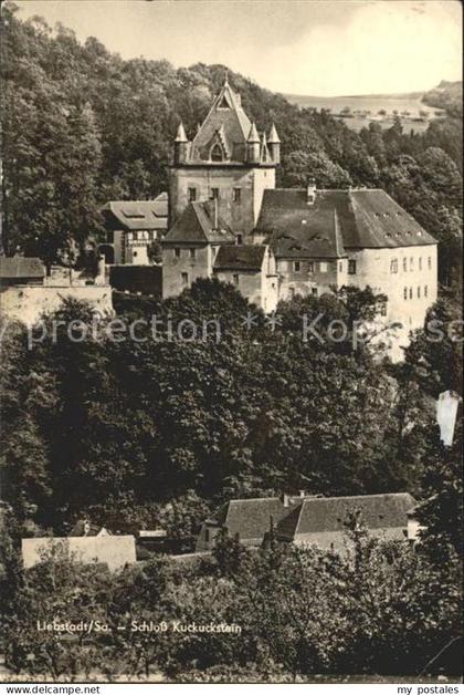 Liebstadt Schloss Kuckuckstein