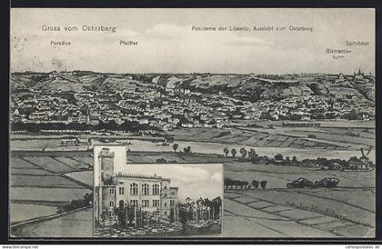 AK Osterberg /Lössnitz, Gasthaus, Panorama der Lössnitz mit Paradies, Spitzhaus und Pfeiffer, Passepartout