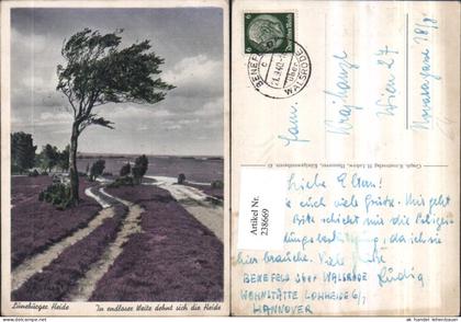 238669,Lüneburger Heide In endloser Weite dehnt sich die Heide Partie