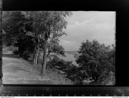 30035591 - Verden (Aller)