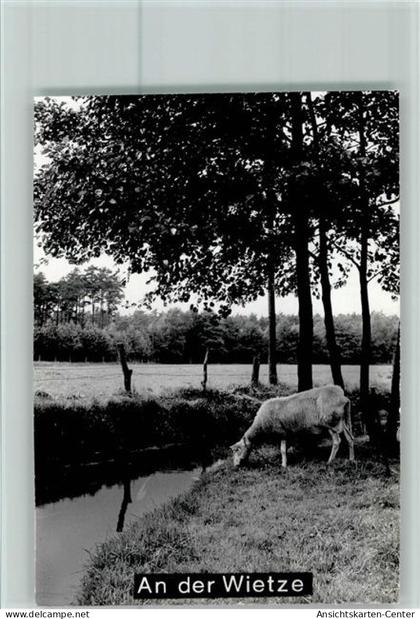 40115930 - Bissendorf , Han