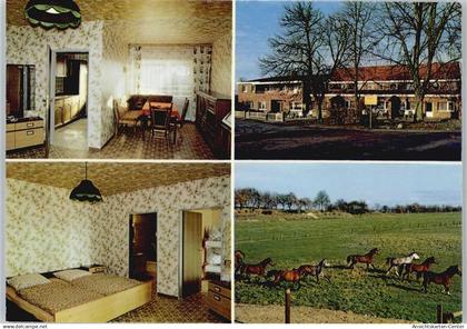 50755445 - Haren (Ems)