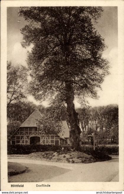 CPA Hittfeld Seevetal in Niedersachsen, Dorflinde