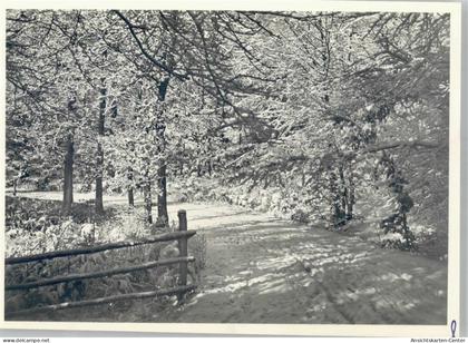 50974256 - Luebbecke , Westf