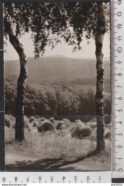 Schwalenberg / Rischenau -Der Köterberg -  gelaufen 1963  ( AK 4553 )  günstige Versandkosten