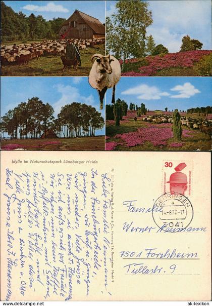 Ansichtskarte .Niedersachsen Idylle im Naturschutzpark Lüneburger Heide 1972