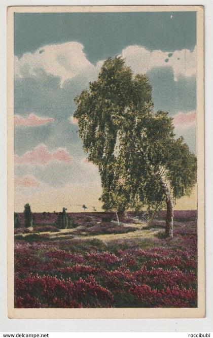 Lüneburger Heide