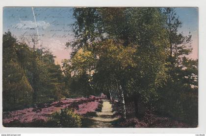 Lüneburger Heide