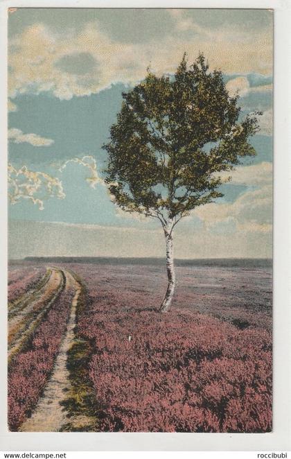 Lüneburger Heide