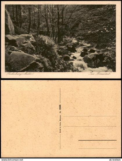 Ansichtskarte Rochsburg-Lunzenau Im Brausetal 1924