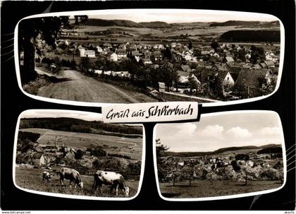 CPA Gruss aus SCHLIERBACH GERMANY (865547)