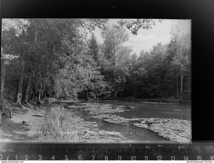 30067891 - Manderscheid , Eifel
