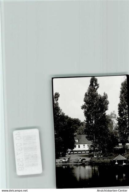 40037539 - Manderscheid , Eifel