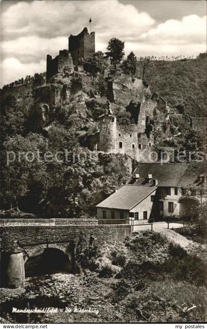 Manderscheid Eifel Niederburg Ruine