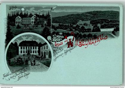 13555919 - Wilhelmsthal b Eisenach, Thuer