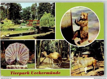 39460364 - Ueckermuende