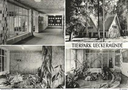 Ueckermuende Tierpark Vivarium