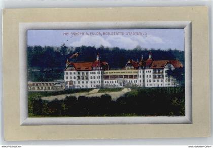 50878266 - Melsungen