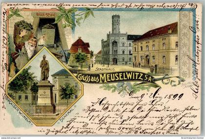 13655428 - Meuselwitz , Thuer