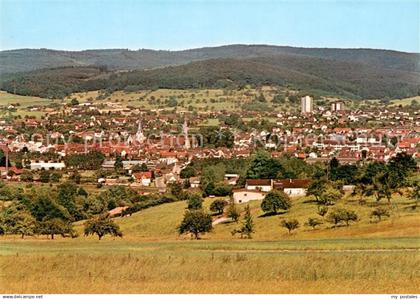 Michelstadt Panorama